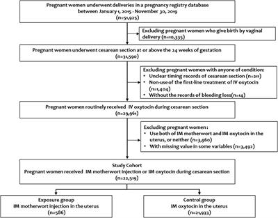 Effects of Motherwort Injection Versus Intramuscular Oxytocin for Preventing Postpartum Hemorrhage Among Women Who Underwent Cesarean Section